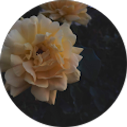 Profile photo of Emily Vargas