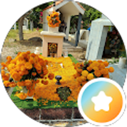 Profile photo of maricela coronel garcia