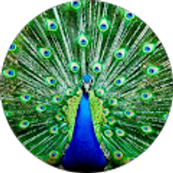 Profile photo of Linda Wanless