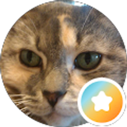 Profile photo of Mary L Sanchez
