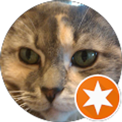 Profile photo of Mary L Sanchez