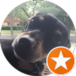 Profile photo of Michael Schwartz