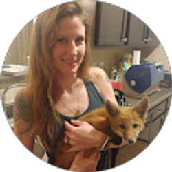 Profile photo of Victoria Seargent