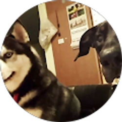 Profile photo of Luis Hernandez