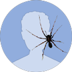 Profile photo of Mr. Paulino