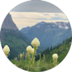 Profile photo of nicole sternad