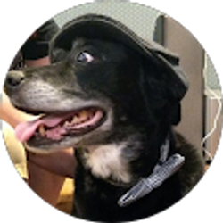 Profile photo of William Alongi