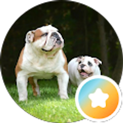Profile photo of Ma Mutt