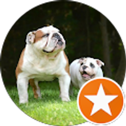 Profile photo of Ma Mutt