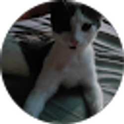 Profile photo of Donna Aaron