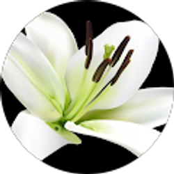 Profile photo of Jessica Martinez