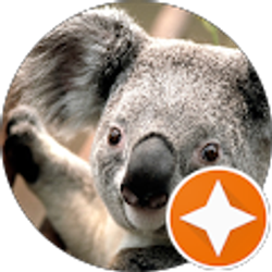 Profile photo of Awais Sindhu