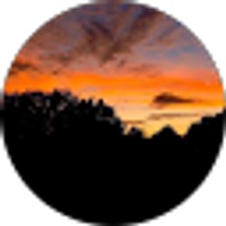 Profile photo of Antonio Castillo