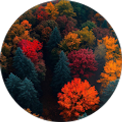 Profile photo of Nicole York