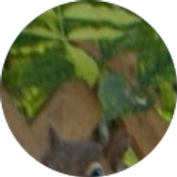 Profile photo of Darlene Evonne