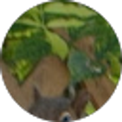 Profile photo of Darlene Evonne
