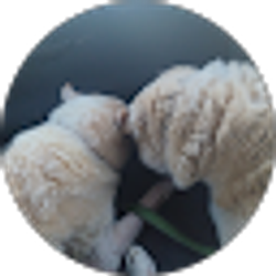 Profile photo of Heather Grveles