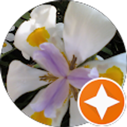 Profile photo of Faye Yarbrough