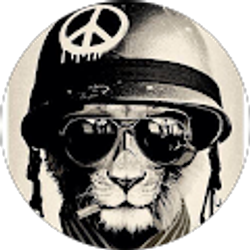 Profile photo of Jose Soto