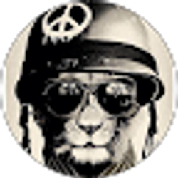 Profile photo of Jose Soto