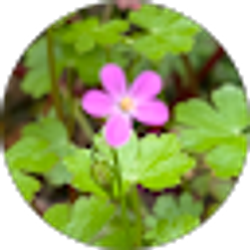 Profile photo of tim schumock