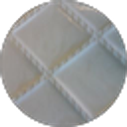 Profile photo of Jessica Lang