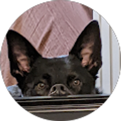 Profile photo of Zee Baltrus