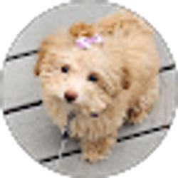 Profile photo of Karen Hannum