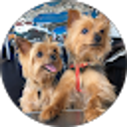 Profile photo of The Boys