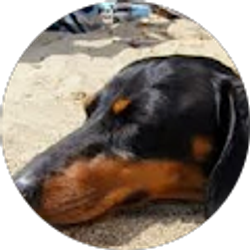 Profile photo of Ryan Siyufy