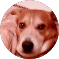 Profile photo of Carol Alcantar