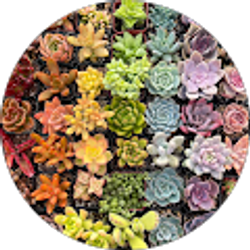 Profile photo of Lauren Hotary