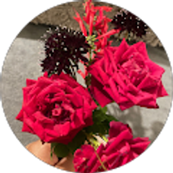 Profile photo of Nelly Mora