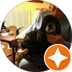 Profile photo of gerald sipkin