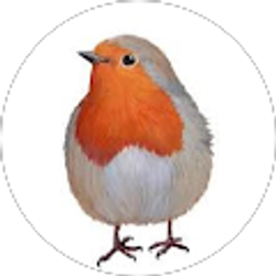 Profile photo of Robin Cirillo