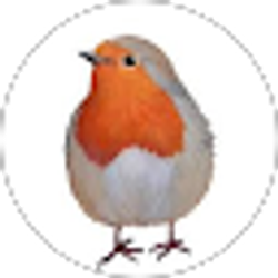 Profile photo of Robin Cirillo