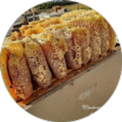 Profile photo of Misael Dios es amor