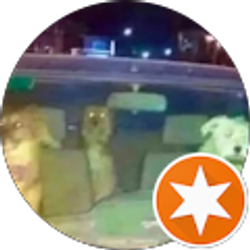 Profile photo of Storm L