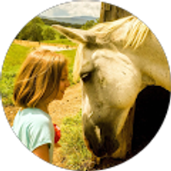 Profile photo of Carmen Allen