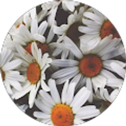 Profile photo of Karli Leonard