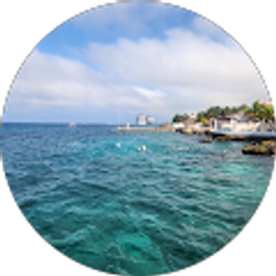 Profile photo of maggie rayford