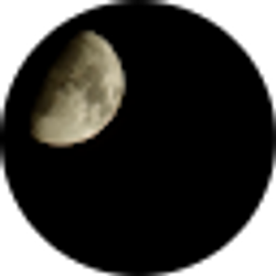 Profile photo of bryan thorp