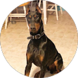 Profile photo of Just Me