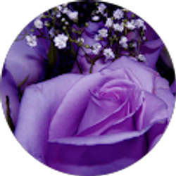 Profile photo of Tammy Miles