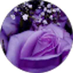 Profile photo of Tammy Miles
