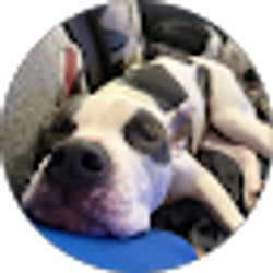 Profile photo of Joshua