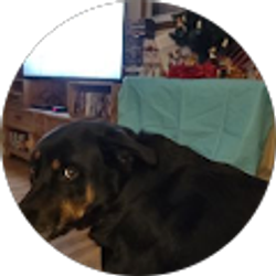 Profile photo of Laverne Cornell