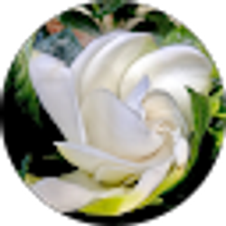 Profile photo of Tammy Woods