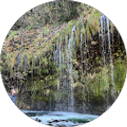 Profile photo of Joaquin De Hoyos