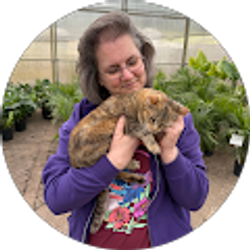 Profile photo of Meilii Halfmann